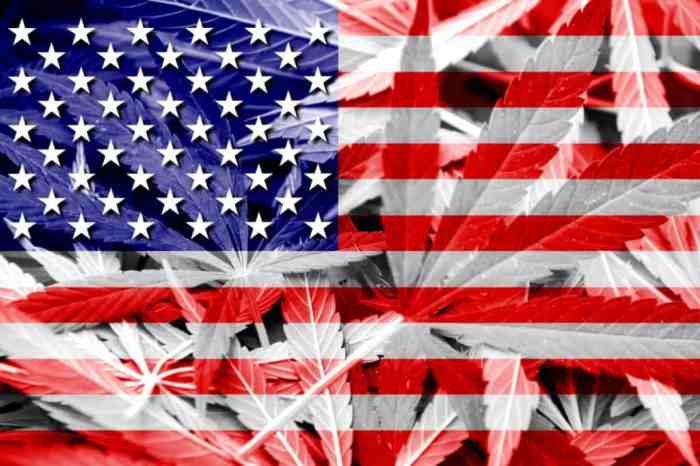 Legalisasi Ganja Amerika